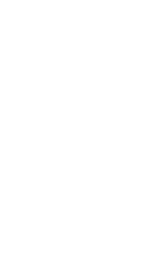 CRS icon
